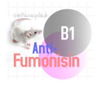 小鼠抗伏马菌素B1（Monoclonal Mouse Anti-Fumonisin）　