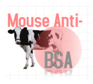 小鼠抗牛血清白蛋白（Monoclonal Mouse Anti-BSA ）