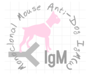 小鼠抗狗IgM（u）（Monoclonal Mouse Anti-Dog IgM(u)）