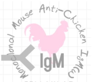 小鼠抗鸡IgM（Monoclonal Mouse Anti-Chicken IgM(u)）