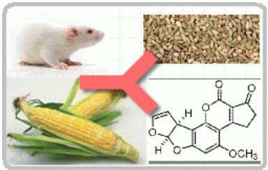 小鼠抗黄曲霉毒素B1（Monoclonal Mouse Anti- Aflatoxin B1）