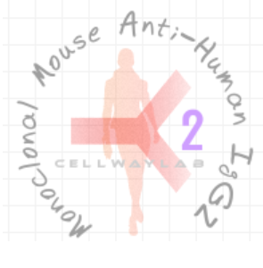 小鼠抗人IgG2（Monoclonal Mouse Anti-Human IgG2 ）