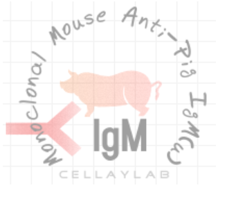 小鼠抗猪IgM(u)（Monoclonal Mouse Anti-Pig IgM(u)）