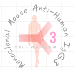 小鼠抗人IgG3（Monoclonal Mouse Anti-Human IgG3）