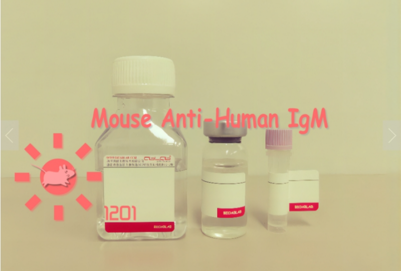 小鼠抗人IgM(μ链特异性)/Monoclonal Mouse Anti-Human IgM (μ-chain specific)